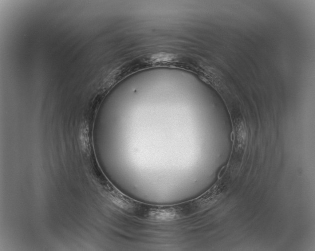 X0000062900559200601271716