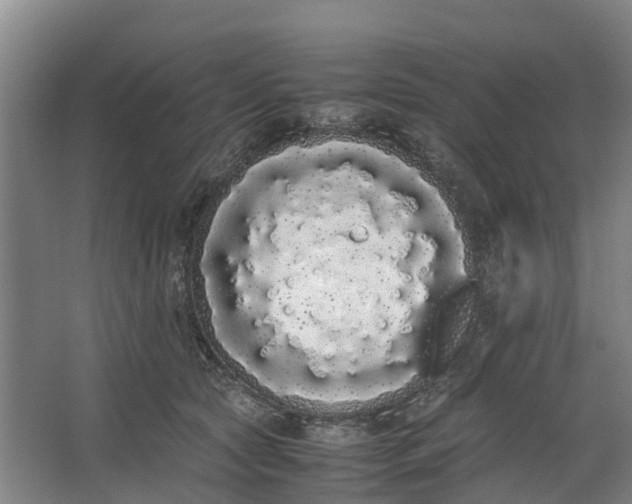 X0000062900561200601271716