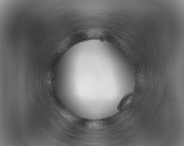 X0000062900567200601271716