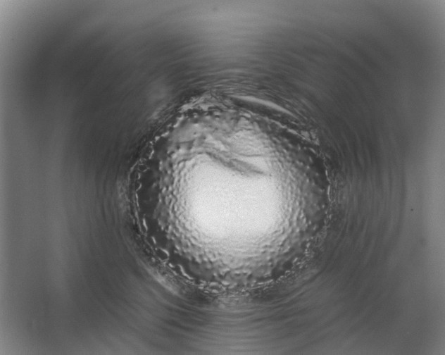 X0000062900568200601271716