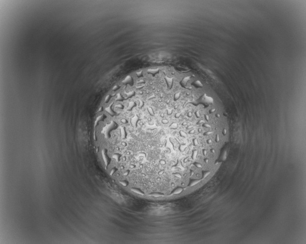 X0000062900569200601271716