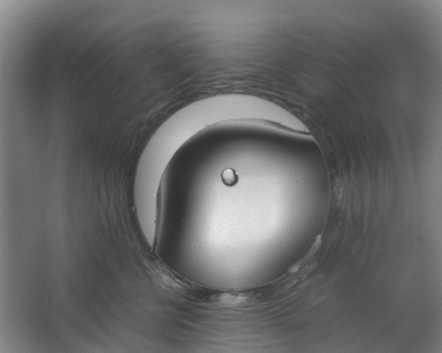 X0000062900570200601271716