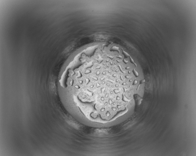 X0000062900573200601271717