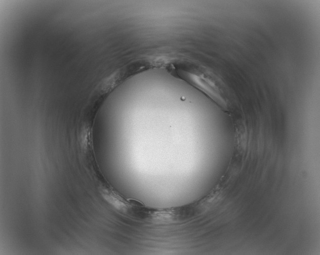 X0000062900574200601271717