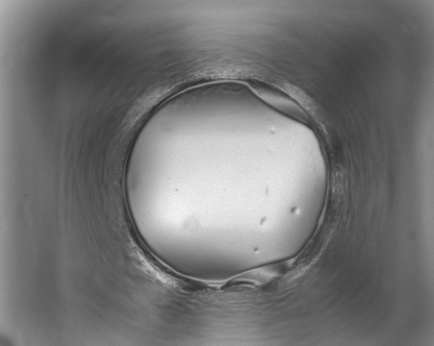 X0000062900577200601271716