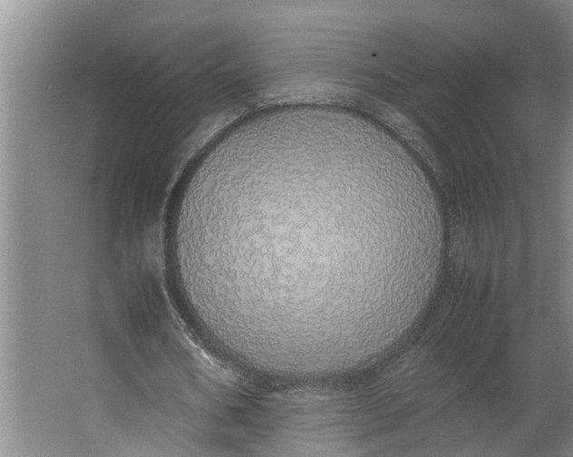 X0000062900578200601271716