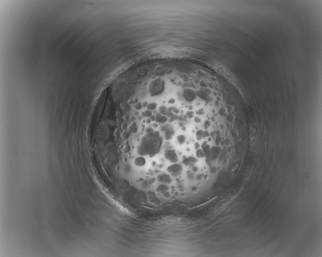 X0000062900581200601271716