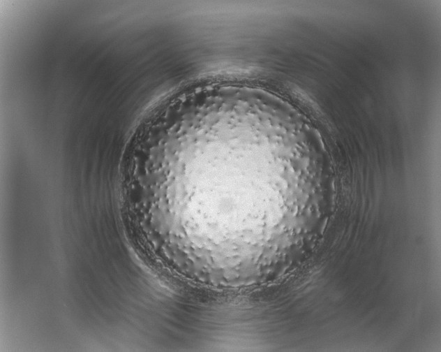 X0000062900582200601271716