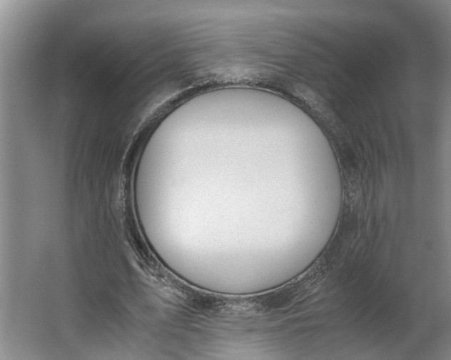 X0000062900583200601271716