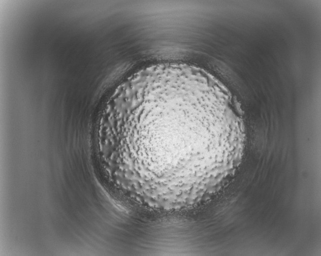 X0000062900586200601271716