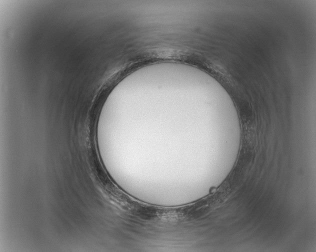 X0000062900587200601271716