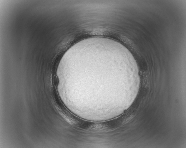 X0000062900589200601271716