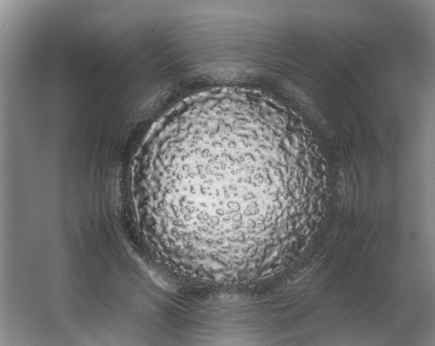 X0000062900590200601271716