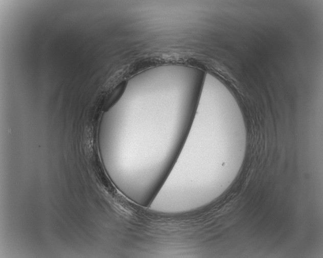 X0000062900593200601271715