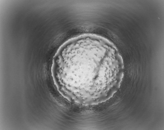 X0000062900594200601271715