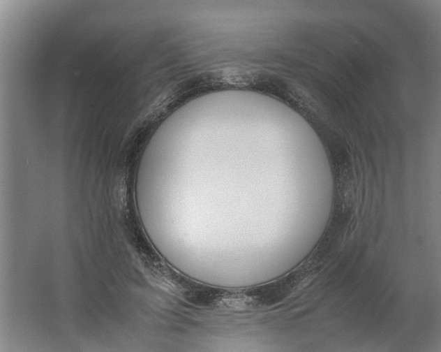 X0000062900595200601271715