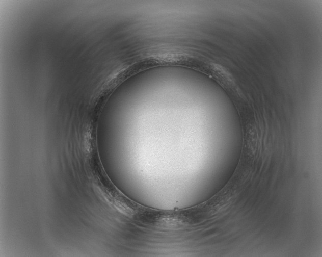 X0000062900596200601271715