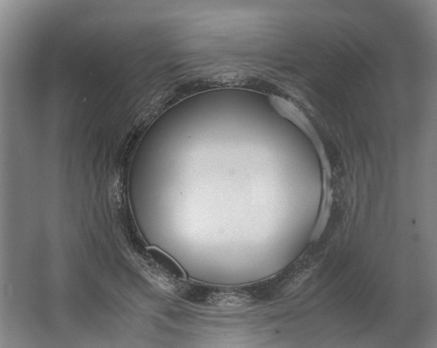 X0000062900597200601271715