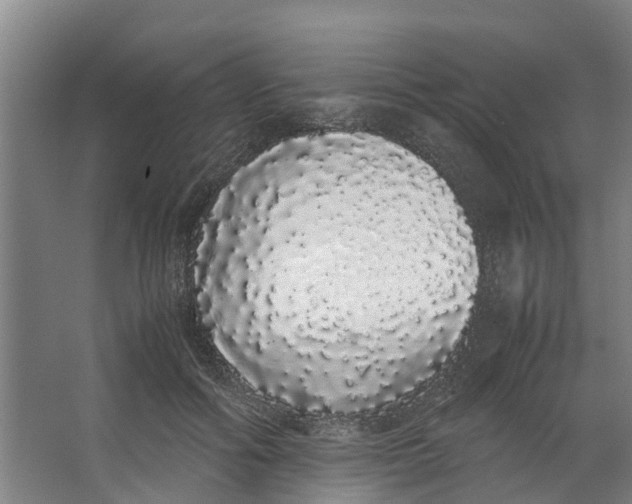 X0000062900602200601271715