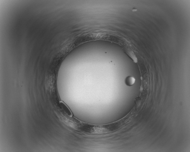 X0000062900605200601271715