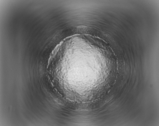 X0000062900606200601271715