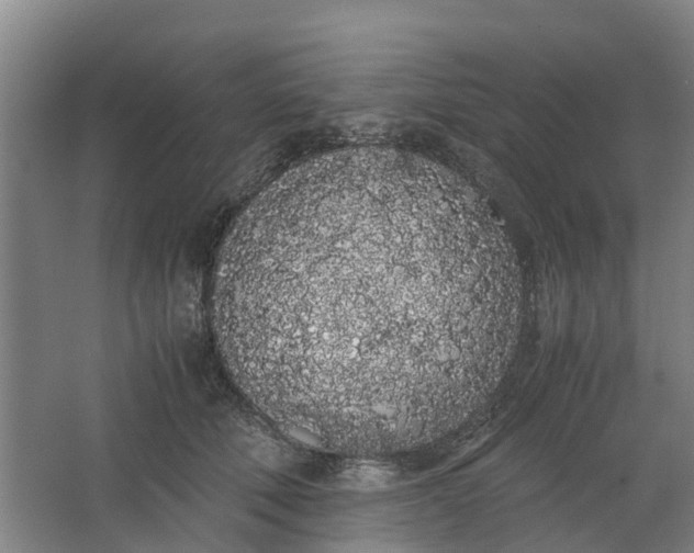 X0000062900610200601271715