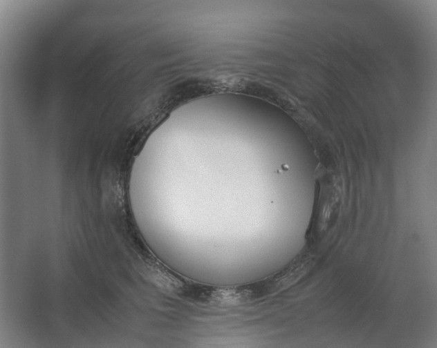 X0000062900613200601271715