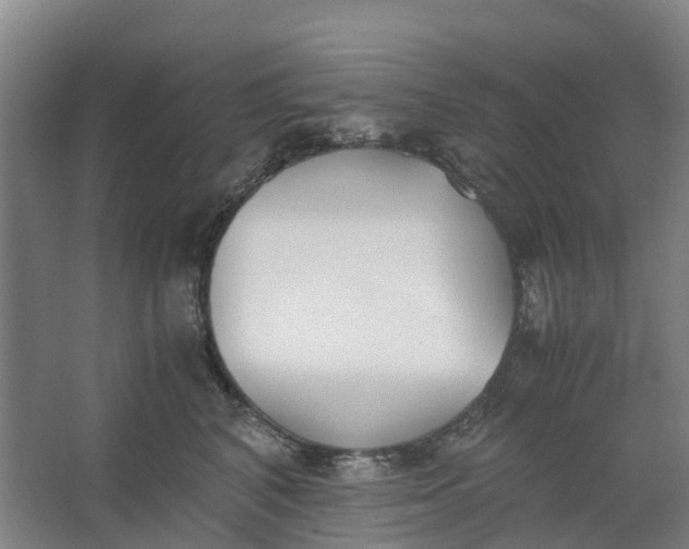 X0000062900616200601271715