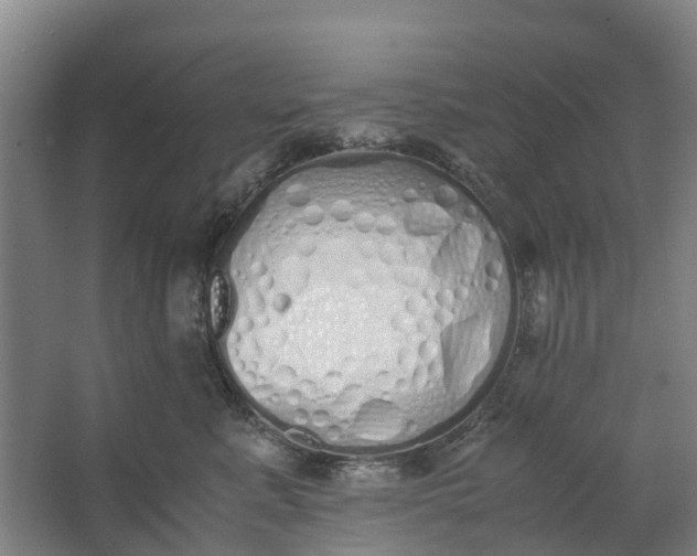 X0000062900619200601271715