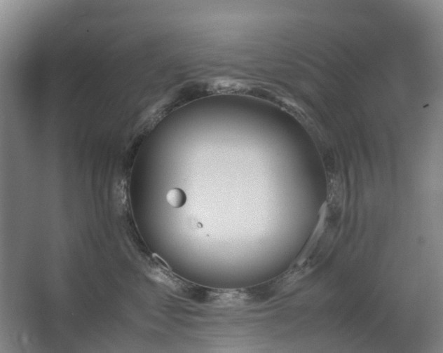 X0000062900621200601271715