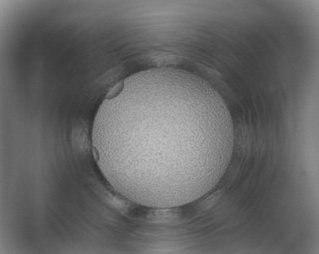 X0000062900622200601271715