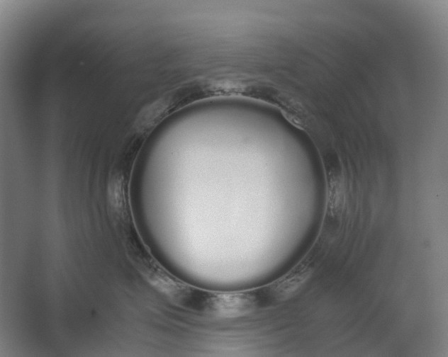 X0000062900623200601271715