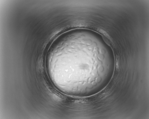 X0000062900627200601271714