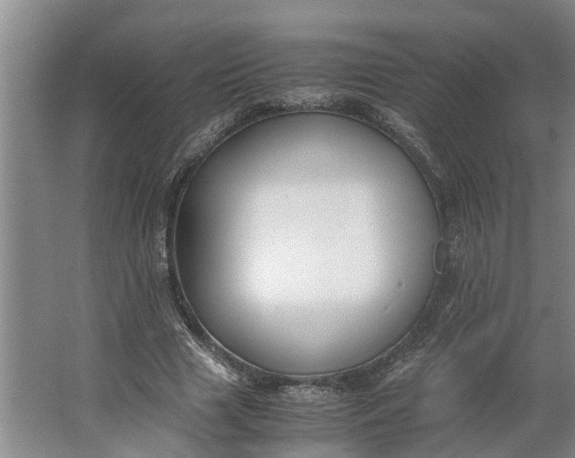 X0000062900633200601271714