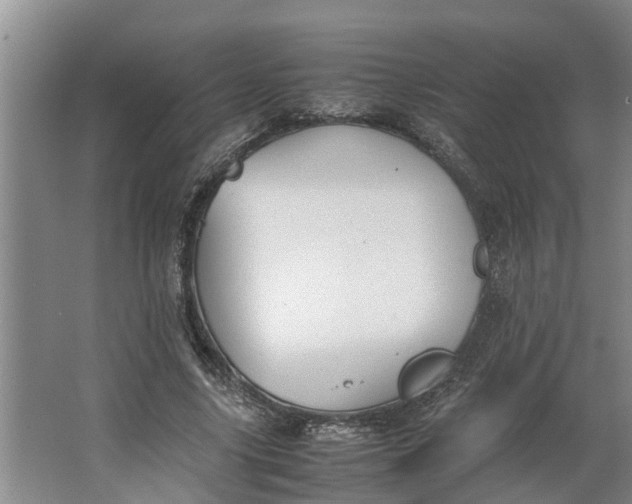 X0000062900635200601271714