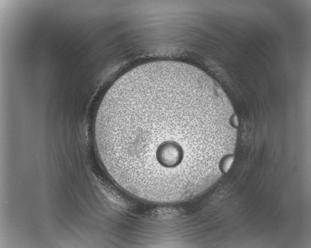 X0000062900636200601271714