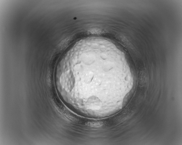 X0000062900639200601271714