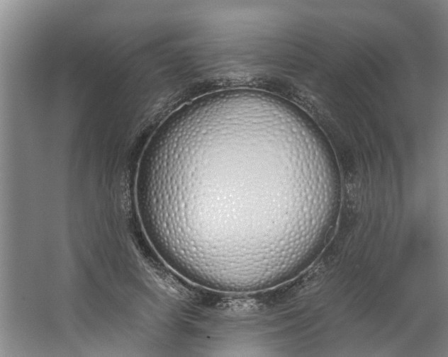 X0000062900642200601271714