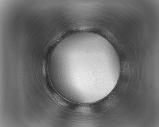 X0000062900644200601271714