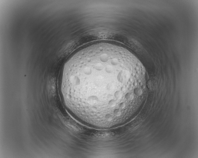 X0000062900646200601271715