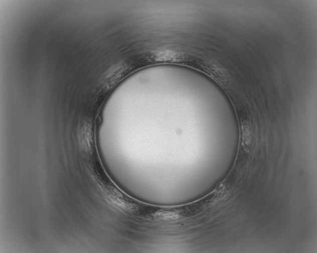 X0000062900648200601271715