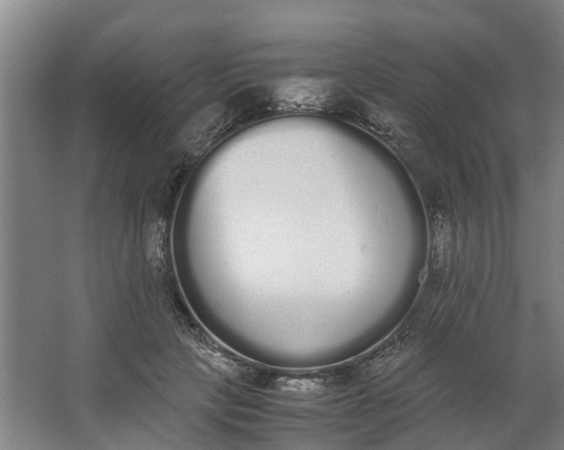 X0000062900649200601271715