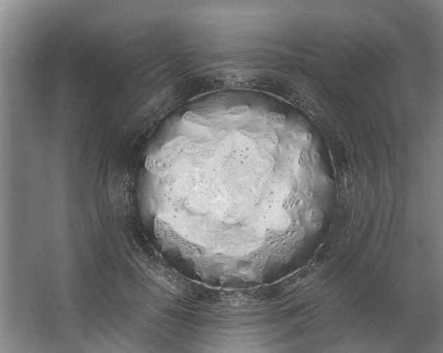 X0000062900650200601271715