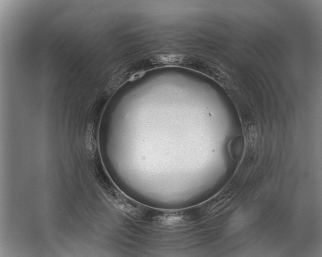 X0000062900651200601271715