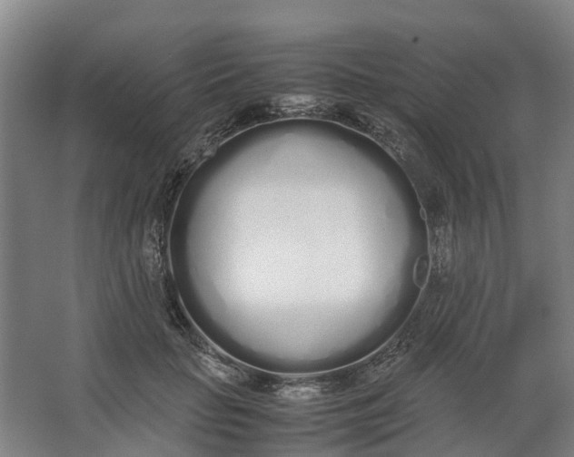 X0000062900653200601271715