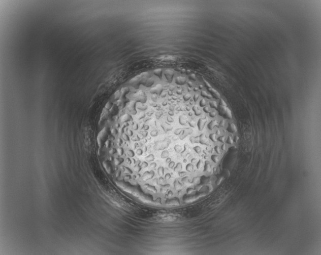 X0000062900654200601271715