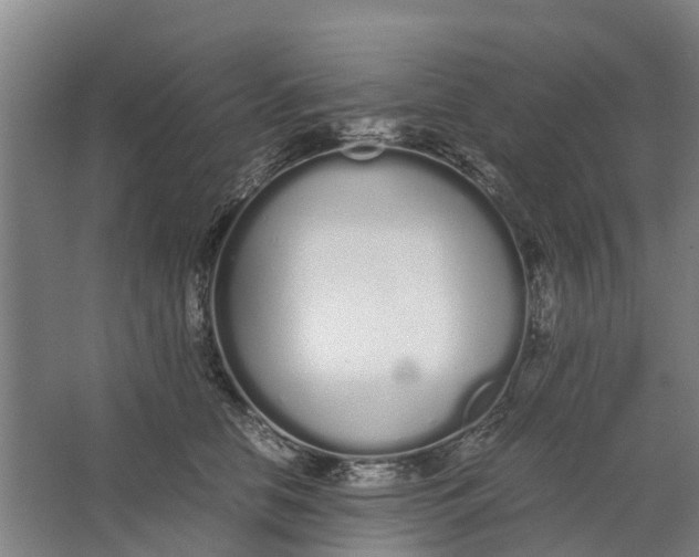 X0000062900658200601271715