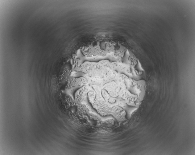 X0000062900659200601271715