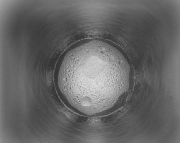 X0000062900660200601271715