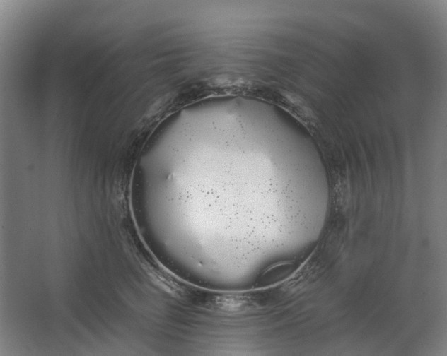 X0000062900662200601271715